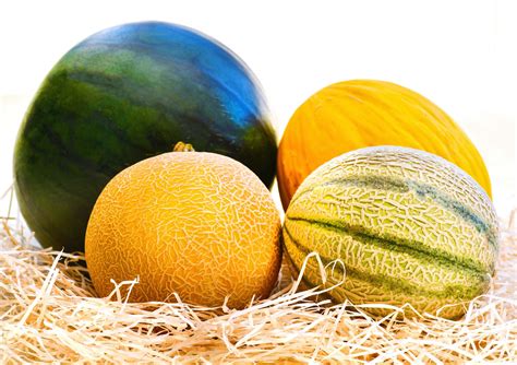 melons tue|50+ Different Types of Melons (Melon Kinds, Names, & Facts).